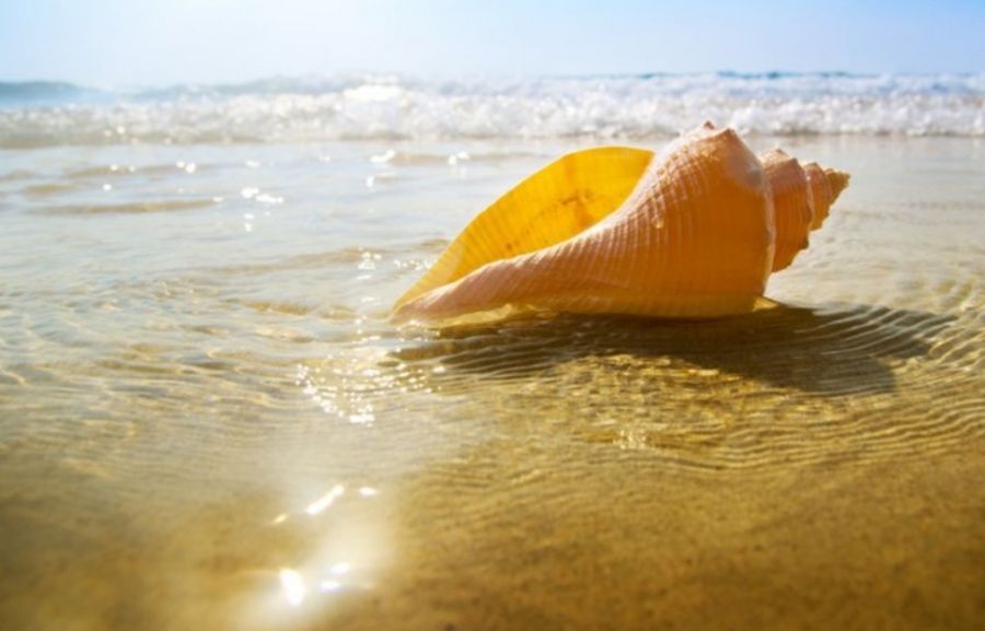 Offerta Ponte 25 Aprile 2023 al Mare