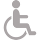 icona-accesso-disabili