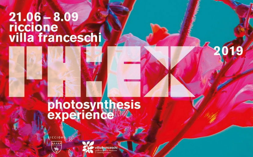 Photosynthesis Experience